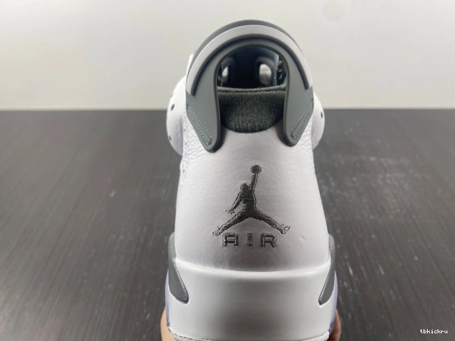 Rep TBK 6 Air CT8529-100 Jordan Cool Grey 0630